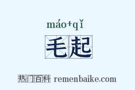 毛起是什么意思的图片
